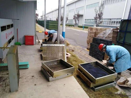 塑料四廠開展環保設施保養活動 夯實綠色制造根基